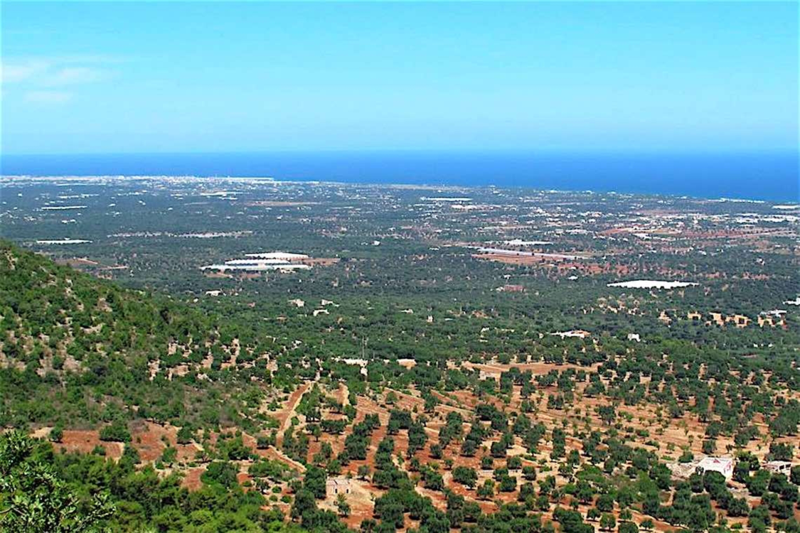selva di Fasano vista panoramica dalla selva di Fasano